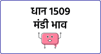 mandi