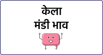 mandi