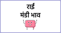 mandi