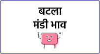 mandi