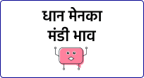 mandi