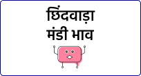 mandi