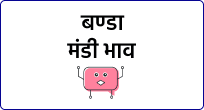 mandi