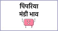 mandi