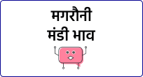 mandi
