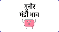 mandi