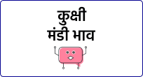 mandi